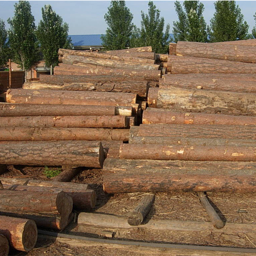 木材干燥选用蒸汽发生器有效又节能