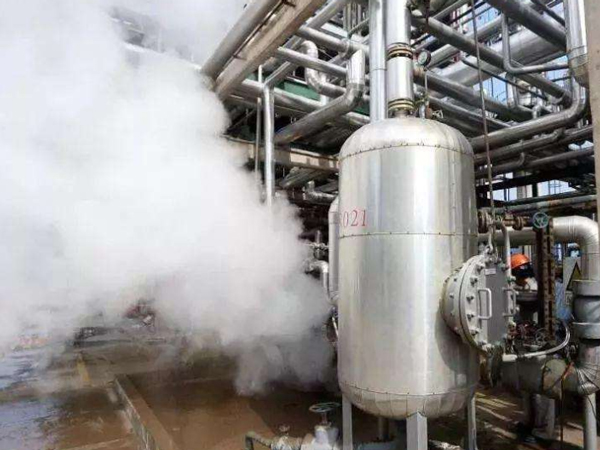 化工行业运营达能蒸汽发生器