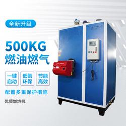 500kg蒸汽发生器