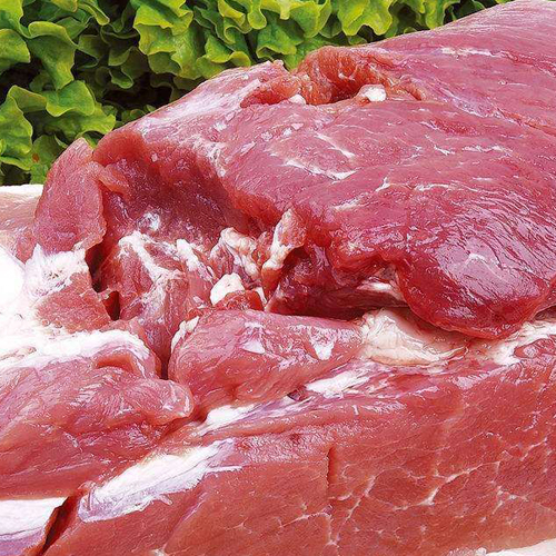 蒸汽发生器让你吃上健康安全的肉制品