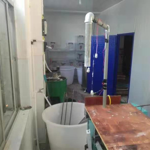 蒸汽发生器在凉皮生产中的应用案例 蒸汽发生器在凉皮生产中的应用案例