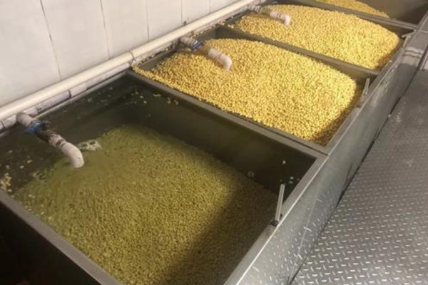 豆制品蒸汽加工设备 豆制品蒸汽加工设备