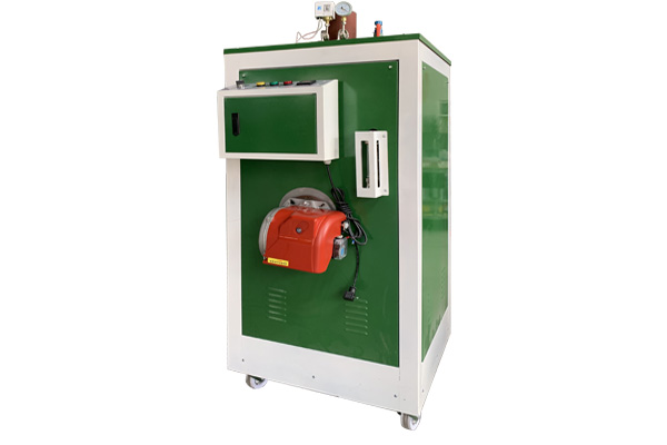 鑫达能100kg<a href='http://www.jsxdn.cn/ranqi' target='_blank'><u>燃气蒸汽发生器</u></a>