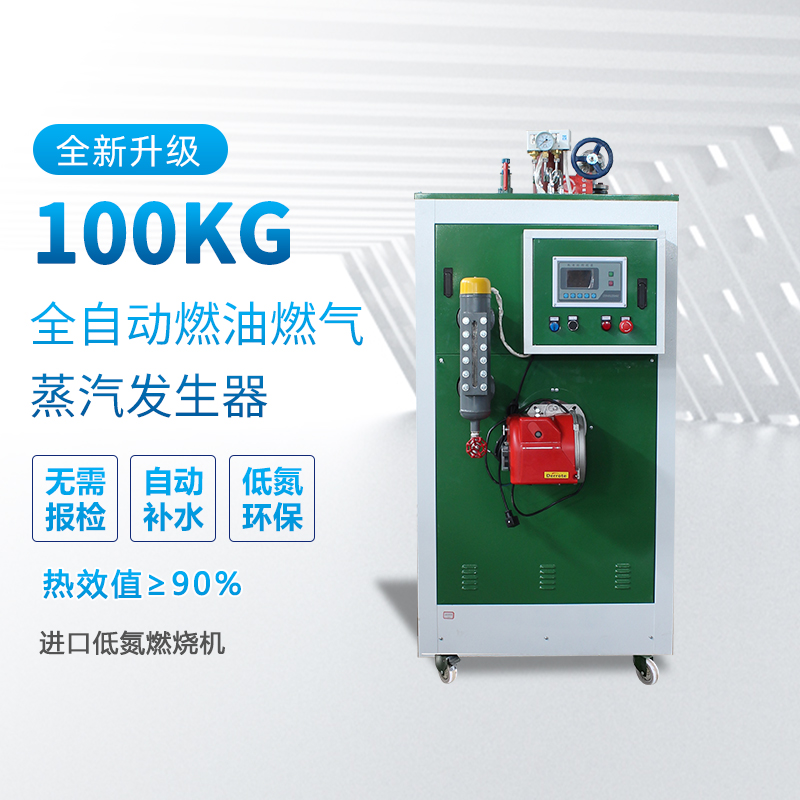 100kg燃气蒸汽发生器