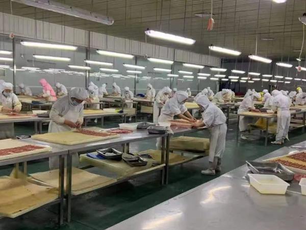 蒸汽发生器宠物食品加工 蒸汽发生器宠物食品加工