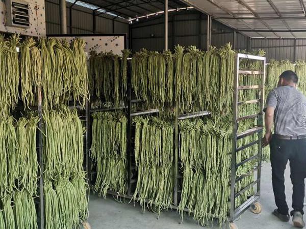 蒸汽发生器用于蔬菜水果烘干 蒸汽发生器用于蔬菜水果烘干