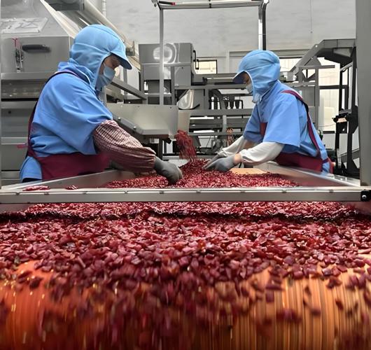 生产辣椒酱哪些工艺会用蒸汽发生器？