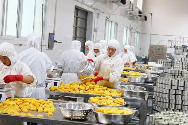 蒸汽发生器用于食品工艺 蒸汽发生器用于食品工艺
